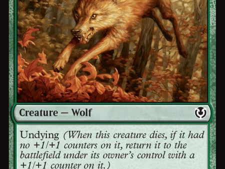 Young Wolf [Innistrad Remastered] Supply